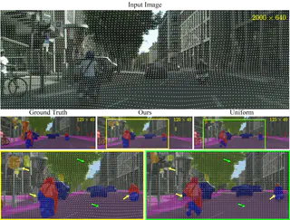 Learning to Downsample for Segmentation of Ultra-High Resolution Images